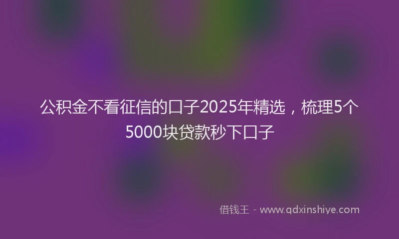 公积金不看征信的口子2025年精选，梳理5个5000块贷款秒下口子