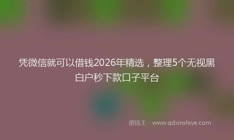 凭微信就可以借钱2026年精选，整理5个无视黑白户秒下款口子平台