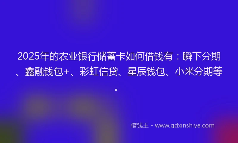 2025年的农业银行储蓄卡如何借钱有:瞬下分期、鑫融钱包+、彩虹信贷、星辰钱包、小米分期等。