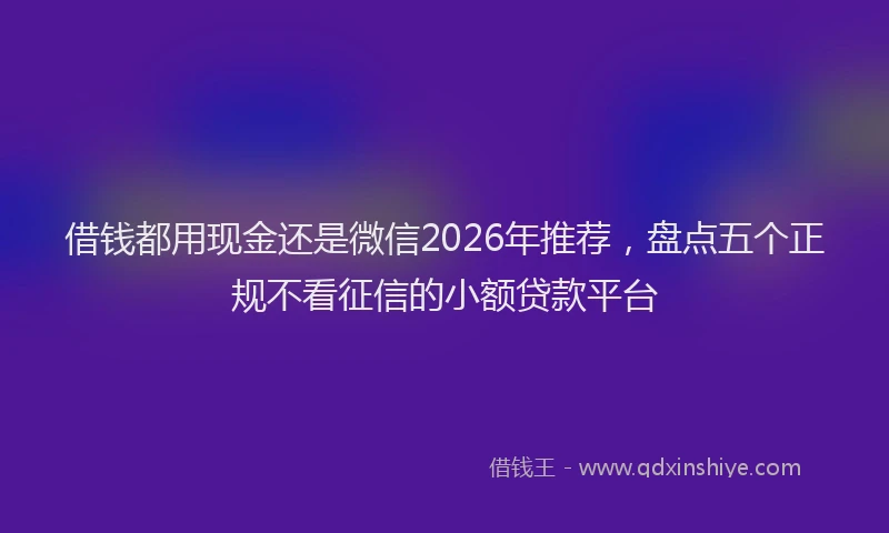 借钱都用现金还是微信2026年推荐，盘点五个正规不看征信的小额贷款平台
