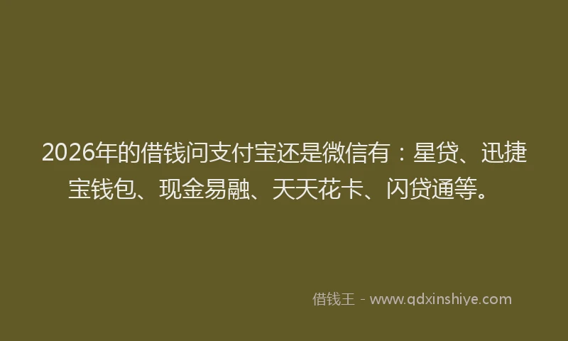 2026年的借钱问支付宝还是微信有：星贷、迅捷宝钱包、现金易融、天天花卡、闪贷通等。