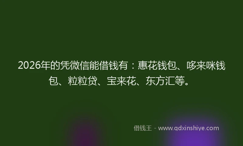 2026年的凭微信能借钱有：惠花钱包、哆来咪钱包、粒粒贷、宝来花、东方汇等。