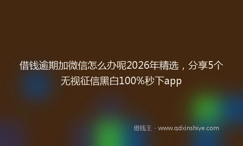 借钱逾期加微信怎么办呢2026年精选，分享5个无视征信黑白100%秒下app