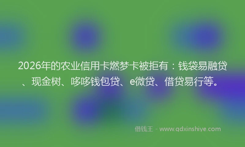 2026年的农业信用卡燃梦卡被拒有：钱袋易融贷、现金树、哆哆钱包贷、e微贷、借贷易行等。