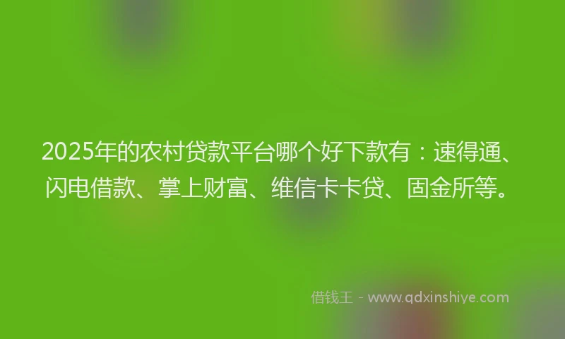 2025年的农村贷款平台哪个好下款有：速得通、闪电借款、掌上财富、维信卡卡贷、固金所等。