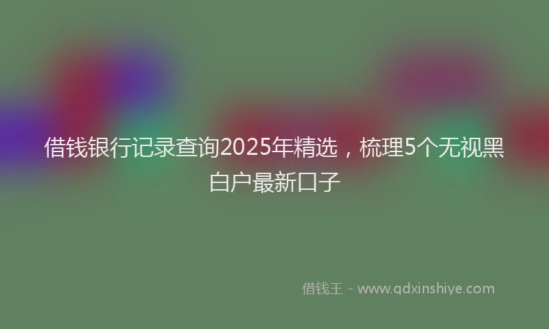 借钱银行记录查询2025年精选，梳理5个无视黑白户最新口子