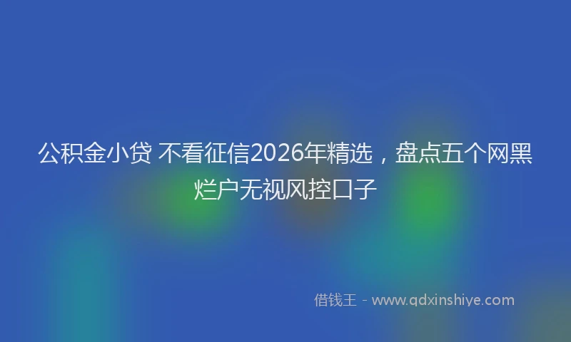 公积金小贷 不看征信2026年精选，盘点五个网黑烂户无视风控口子