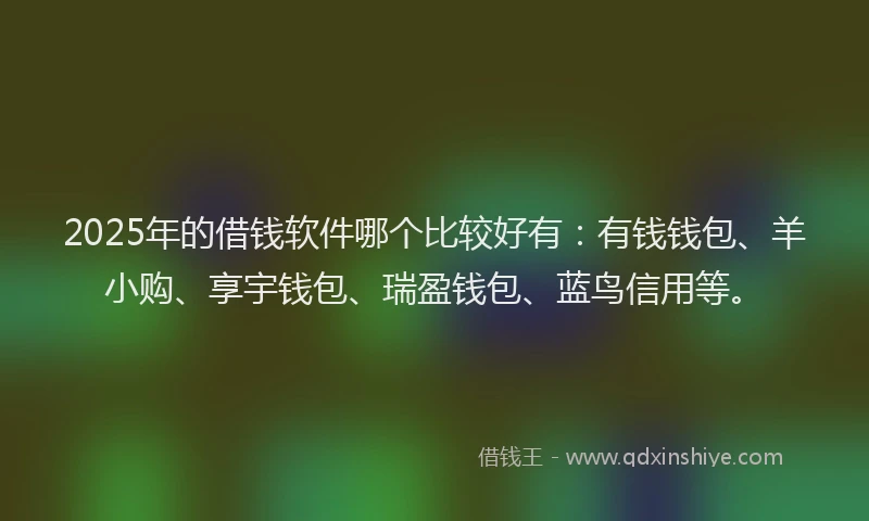 2025年的借钱软件哪个比较好有：有钱钱包、羊小购、享宇钱包、瑞盈钱包、蓝鸟信用等。