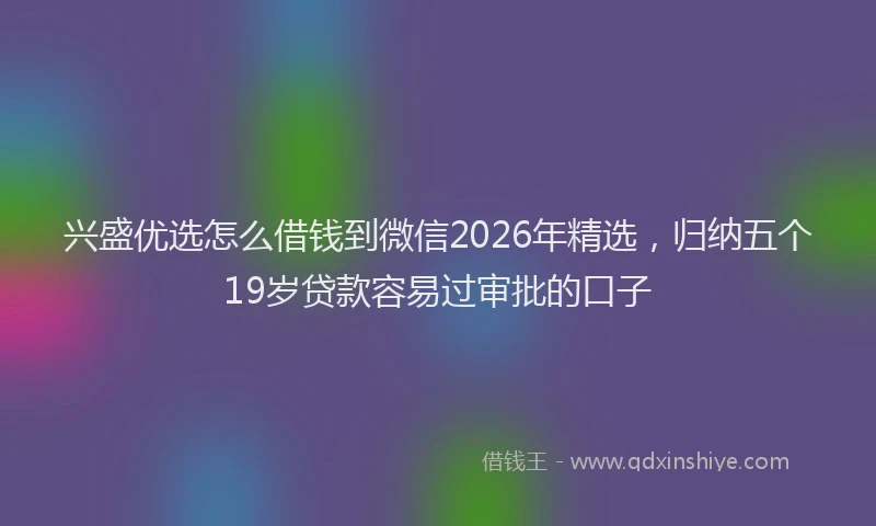 兴盛优选怎么借钱到微信2026年精选，归纳五个19岁贷款容易过审批的口子