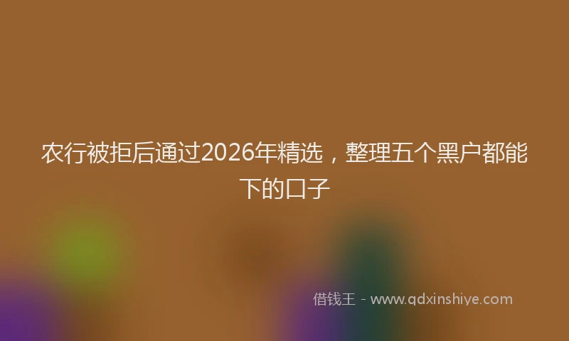 农行被拒后通过2026年精选，整理五个黑户都能下的口子