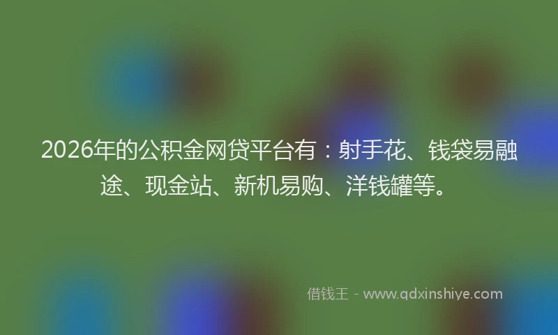 2026年的公积金网贷平台有：射手花、钱袋易融途、现金站、新机易购、洋钱罐等。