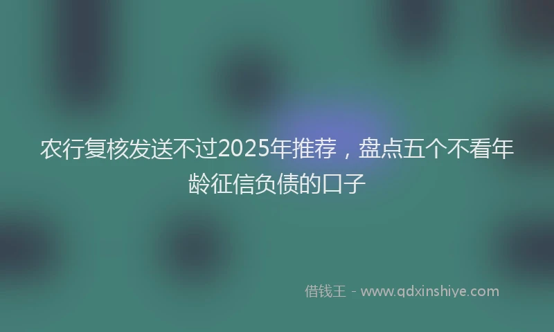 农行复核发送不过2025年推荐,盘点五个不看年龄征信负债的口子