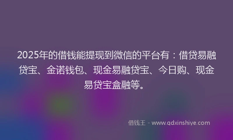 2025年的借钱能提现到微信的平台有：借贷易融贷宝、金诺钱包、现金易融贷宝、今日购、现金易贷宝盒融等。