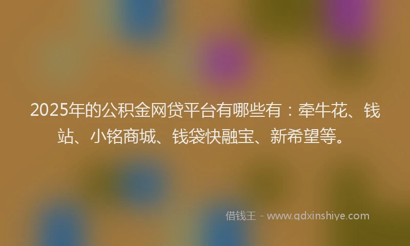2025年的公积金网贷平台有哪些有：牵牛花、钱站、小铭商城、钱袋快融宝、新希望等。
