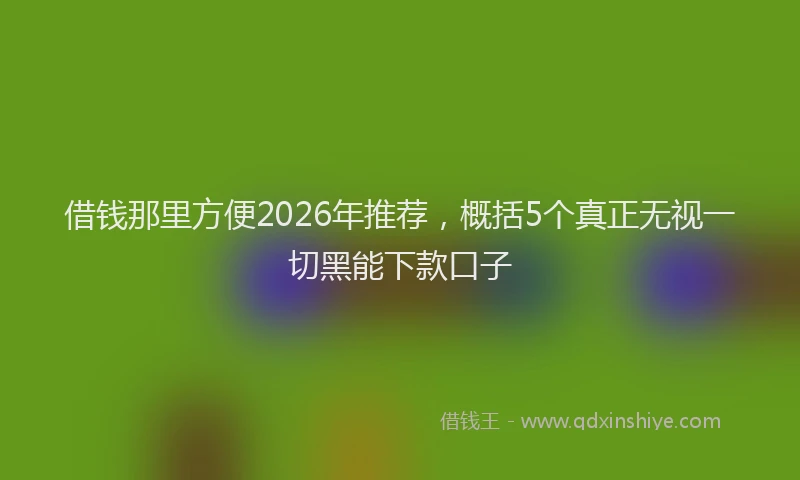 借钱那里方便2026年推荐，概括5个真正无视一切黑能下款口子