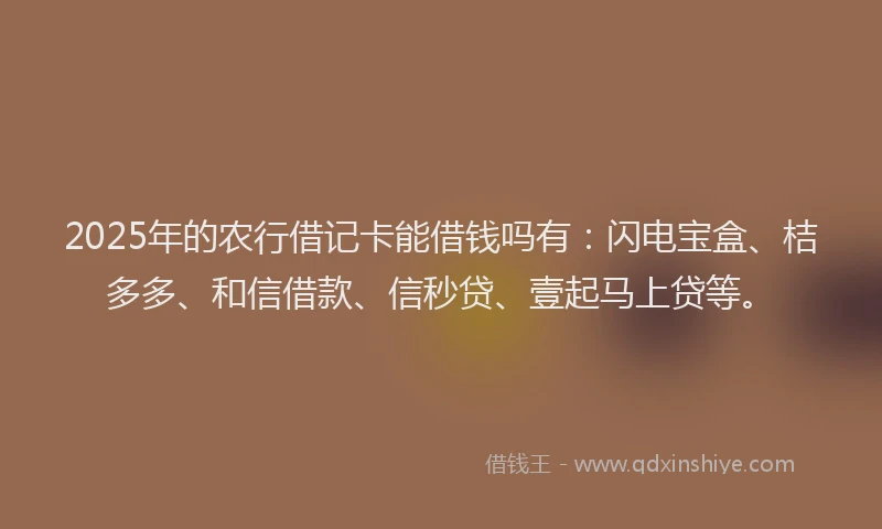 2025年的农行借记卡能借钱吗有:闪电宝盒、桔多多、和信借款、信秒贷、壹起马上贷等。