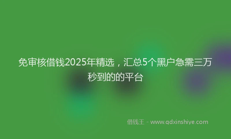 免审核借钱2025年精选，汇总5个黑户急需三万秒到的的平台