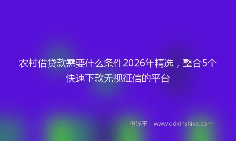 农村借贷款需要什么条件2026年精选，整合5个快速下款无视征信的平台