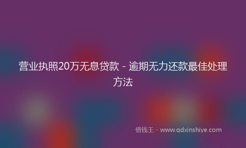 营业执照20万无息贷款 - 逾期无力还款最佳处理方法