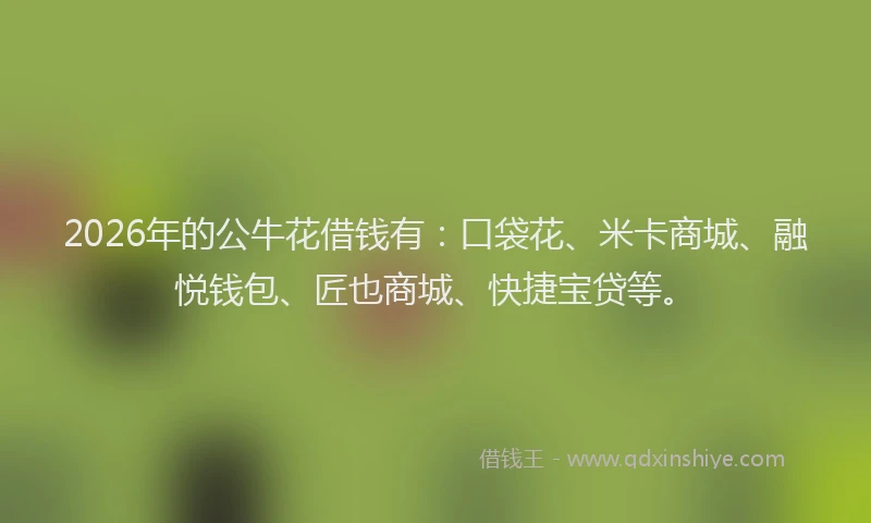 2026年的公牛花借钱有：口袋花、米卡商城、融悦钱包、匠也商城、快捷宝贷等。