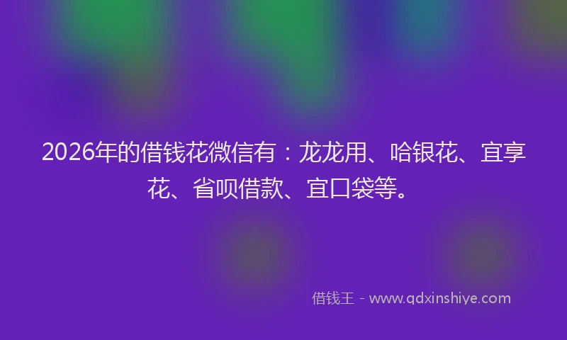 2026年的借钱花微信有：龙龙用、哈银花、宜享花、省呗借款、宜口袋等。