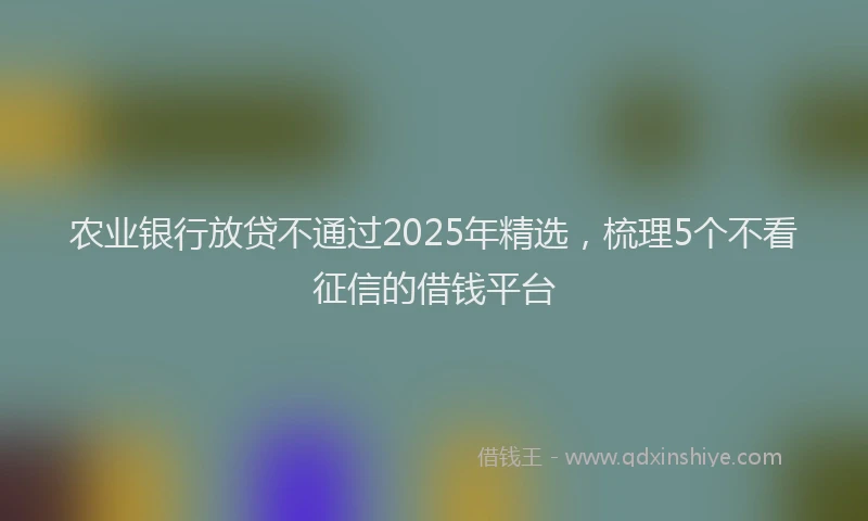 农业银行放贷不通过2025年精选,梳理5个不看征信的借钱平台