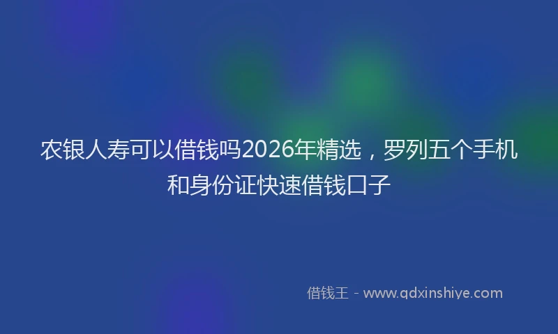 农银人寿可以借钱吗2026年精选，罗列五个手机和身份证快速借钱口子