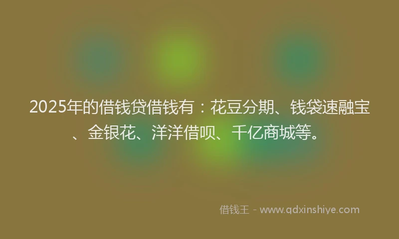 2025年的借钱贷借钱有:花豆分期、钱袋速融宝、金银花、洋洋借呗、千亿商城等。