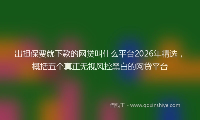 出担保费就下款的网贷叫什么平台2026年精选，概括五个真正无视风控黑白的网贷平台