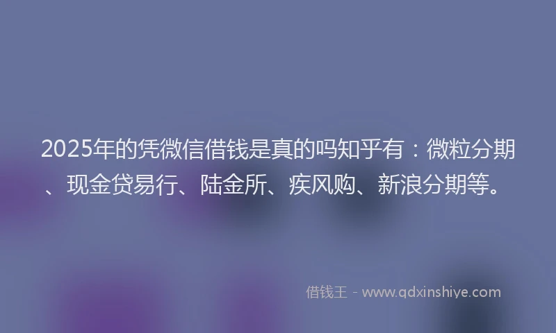 2025年的凭微信借钱是真的吗知乎有:微粒分期、现金贷易行、陆金所、疾风购、新浪分期等。