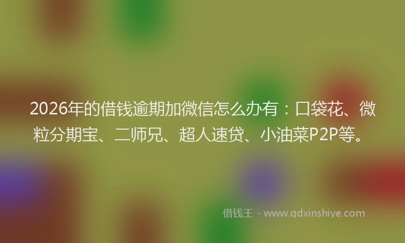 2026年的借钱逾期加微信怎么办有：口袋花、微粒分期宝、二师兄、超人速贷、小油菜P2P等。
