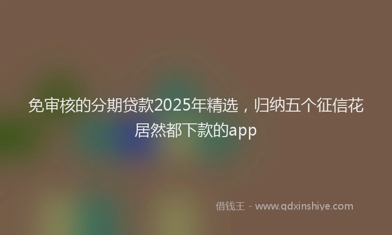 免审核的分期贷款2025年精选，归纳五个征信花居然都下款的app