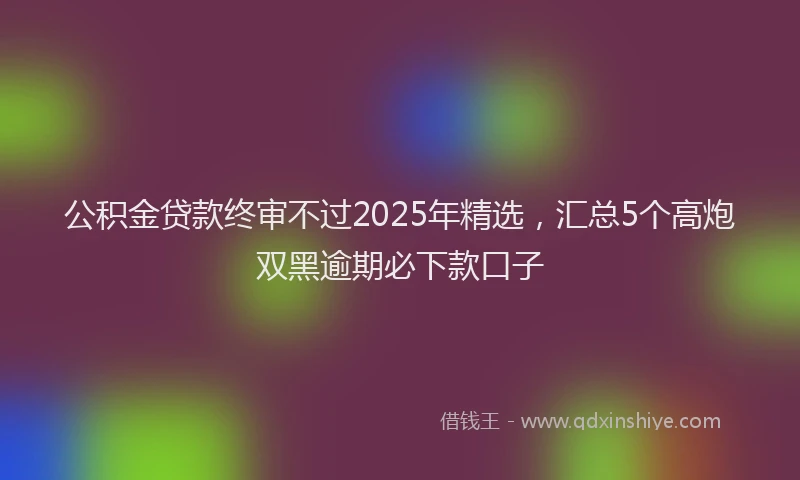 公积金贷款终审不过2025年精选，汇总5个高炮双黑逾期必下款口子