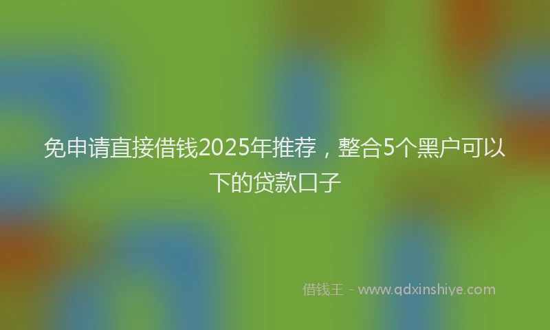 免申请直接借钱2025年推荐,整合5个黑户可以下的贷款口子