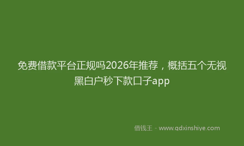 免费借款平台正规吗2026年推荐,概括五个无视黑白户秒下款口子app