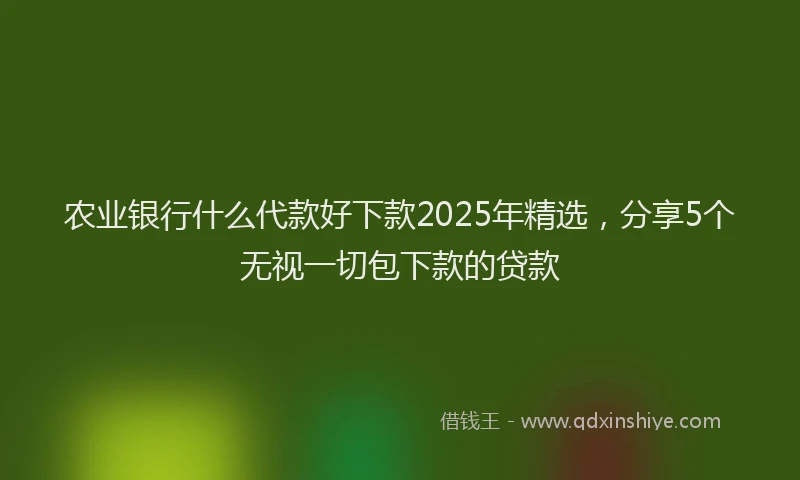 农业银行什么代款好下款2025年精选，分享5个无视一切包下款的贷款