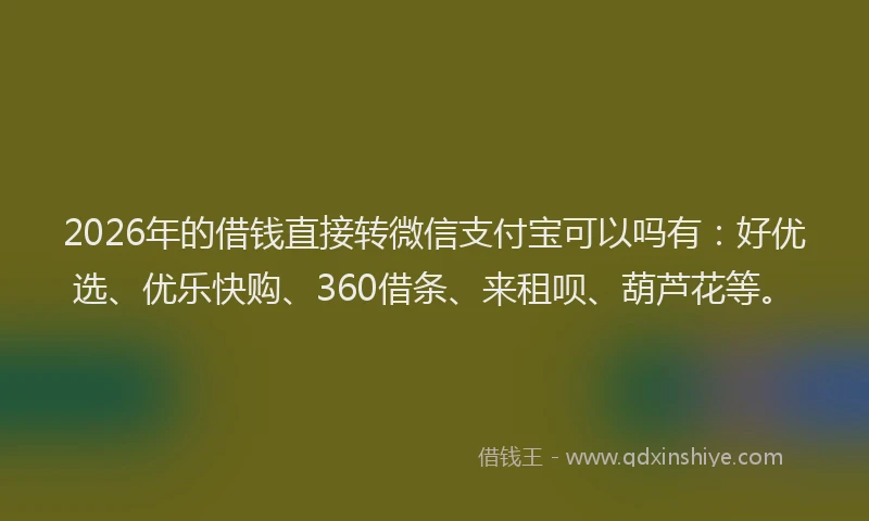 2026年的借钱直接转微信支付宝可以吗有:好优选、优乐快购、360借条、来租呗、葫芦花等。