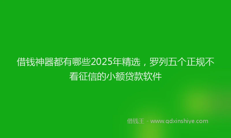 借钱神器都有哪些2025年精选，罗列五个正规不看征信的小额贷款软件
