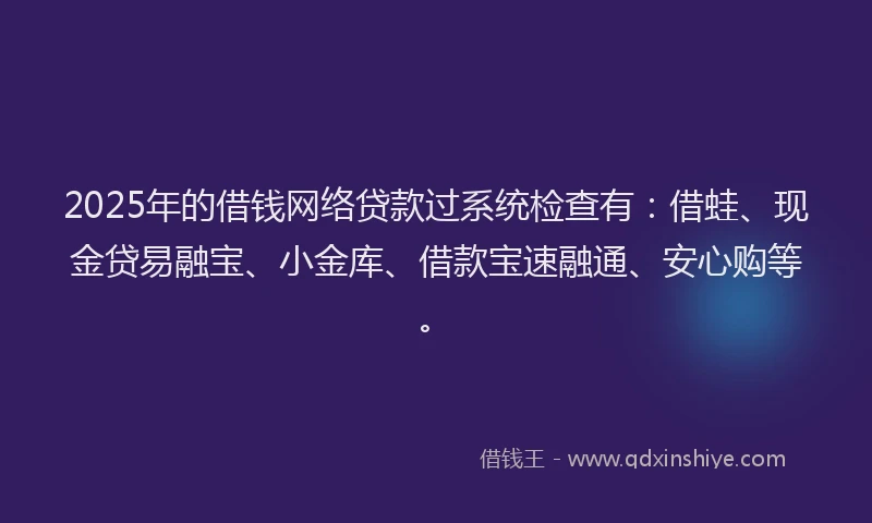 2025年的借钱网络贷款过系统检查有：借蛙、现金贷易融宝、小金库、借款宝速融通、安心购等。