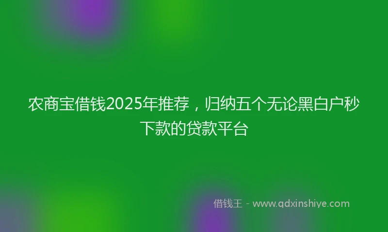 农商宝借钱2025年推荐，归纳五个无论黑白户秒下款的贷款平台