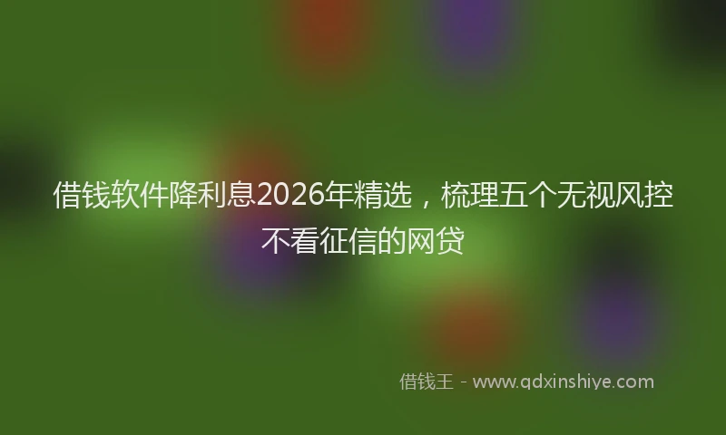 借钱软件降利息2026年精选，梳理五个无视风控不看征信的网贷