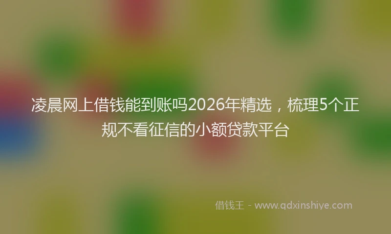 凌晨网上借钱能到账吗2026年精选，梳理5个正规不看征信的小额贷款平台