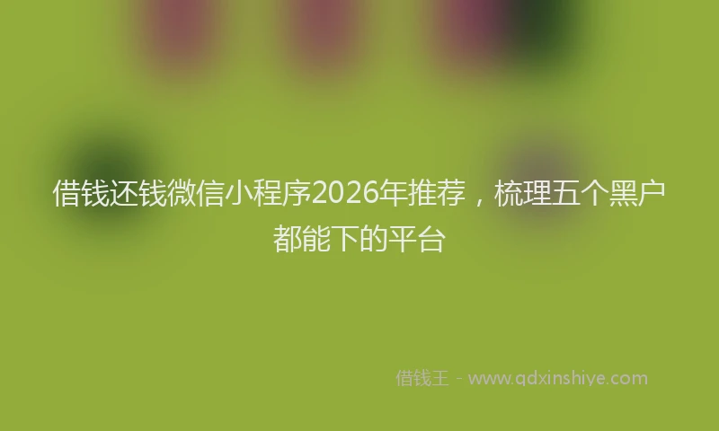借钱还钱微信小程序2026年推荐，梳理五个黑户都能下的平台