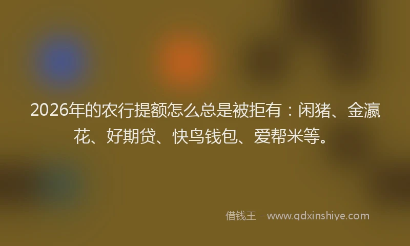 2026年的农行提额怎么总是被拒有：闲猪、金瀛花、好期贷、快鸟钱包、爱帮米等。