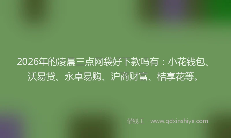2026年的凌晨三点网袋好下款吗有：小花钱包、沃易贷、永卓易购、沪商财富、桔享花等。