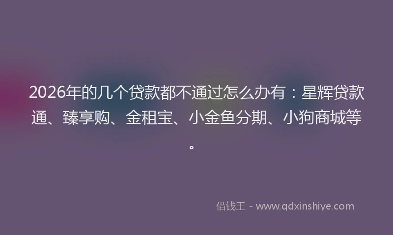 2026年的几个贷款都不通过怎么办有：星辉贷款通、臻享购、金租宝、小金鱼分期、小狗商城等。