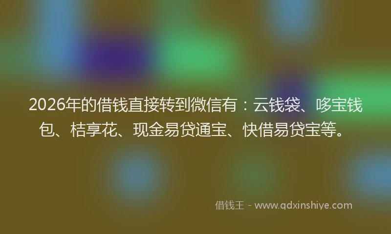 2026年的借钱直接转到微信有：云钱袋、哆宝钱包、桔享花、现金易贷通宝、快借易贷宝等。