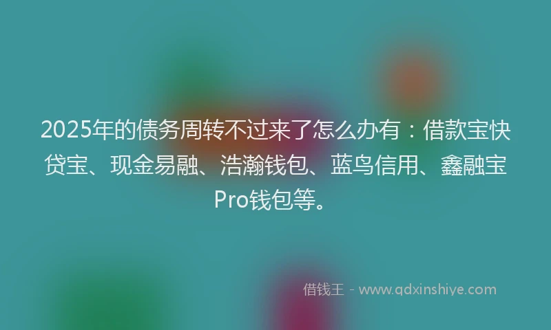2025年的债务周转不过来了怎么办有：借款宝快贷宝、现金易融、浩瀚钱包、蓝鸟信用、鑫融宝Pro钱包等。