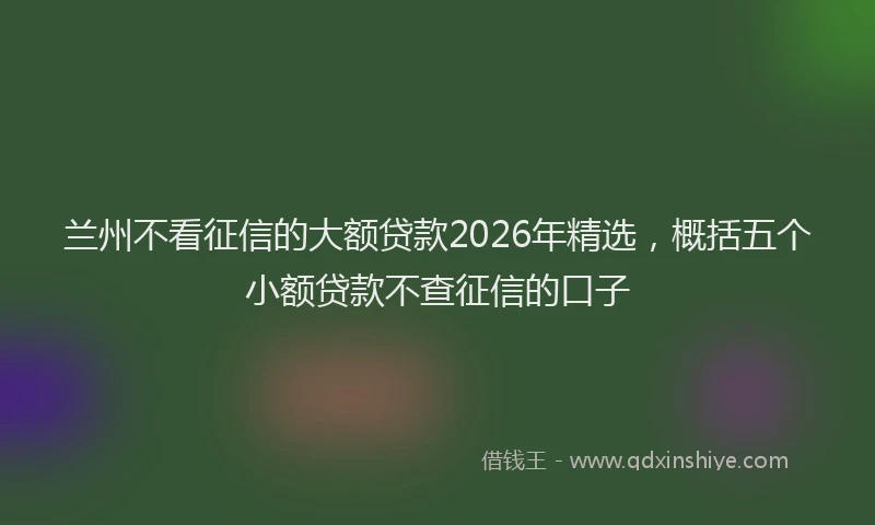 兰州不看征信的大额贷款2026年精选，概括五个小额贷款不查征信的口子