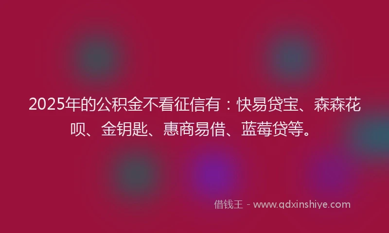 2025年的公积金不看征信有:快易贷宝、森森花呗、金钥匙、惠商易借、蓝莓贷等。